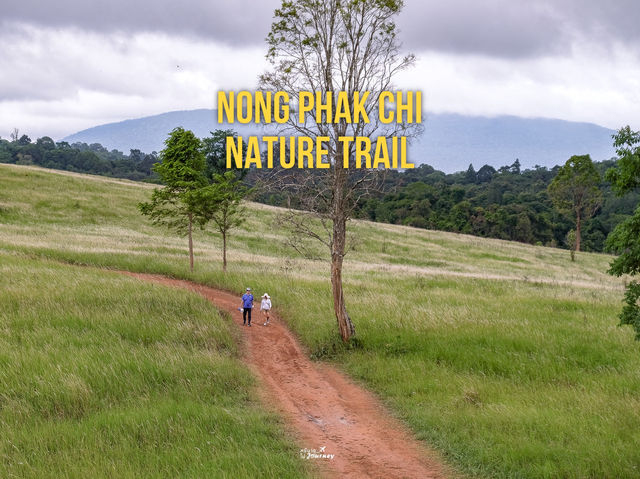 เส้นทางศึกษาธรรมชาติหนองผักชี เขาใหญ่