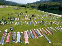 【山口県】山口のこいのぼりは川を泳ぐ！「佐波川のこいながし」