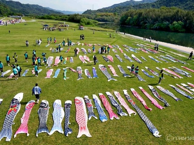 【山口県】山口のこいのぼりは川を泳ぐ！「佐波川のこいながし」