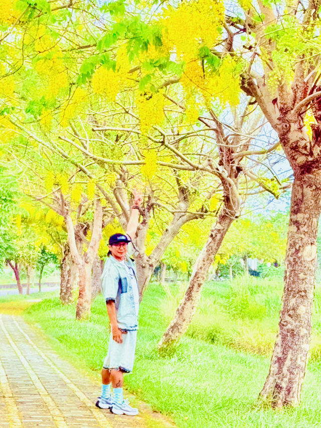 崙頂里河堤步道