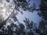 It's the journey and the destination, beauty of Anawangin Cove