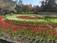 Terao Central Park, Your New Favorite Chill Spot