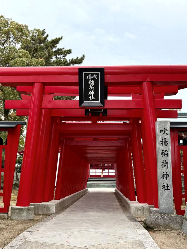 A Slow Day in Imabari – Castles, Shrines & Seaside Calm