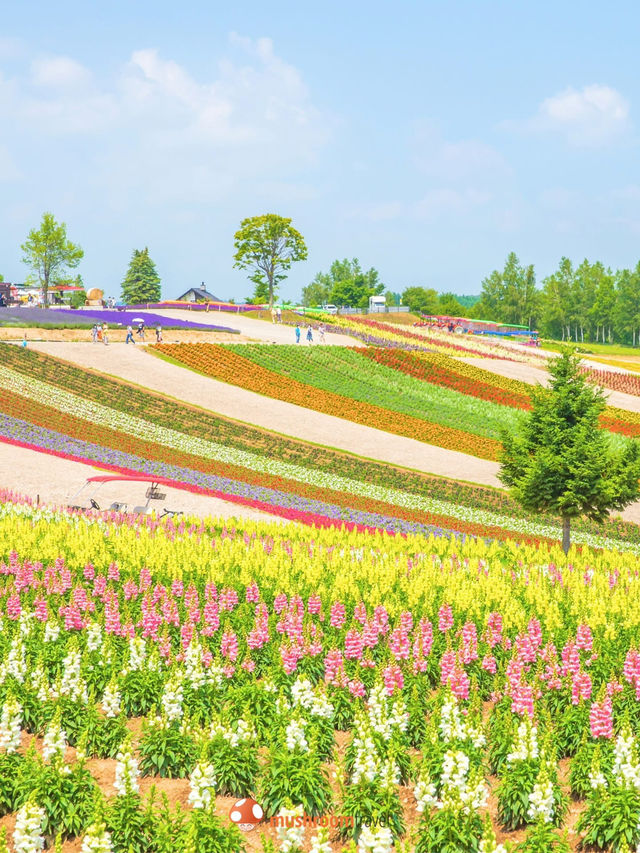 ทิวทัศน์อันตระการตา อาหารที่อบอุ่น