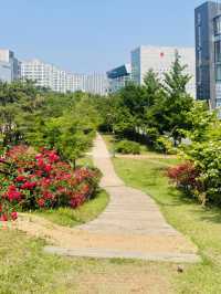 A Rosy Walk to Work: My Thoughts on Siggak Park (No. 3 Neighborhood Park)
