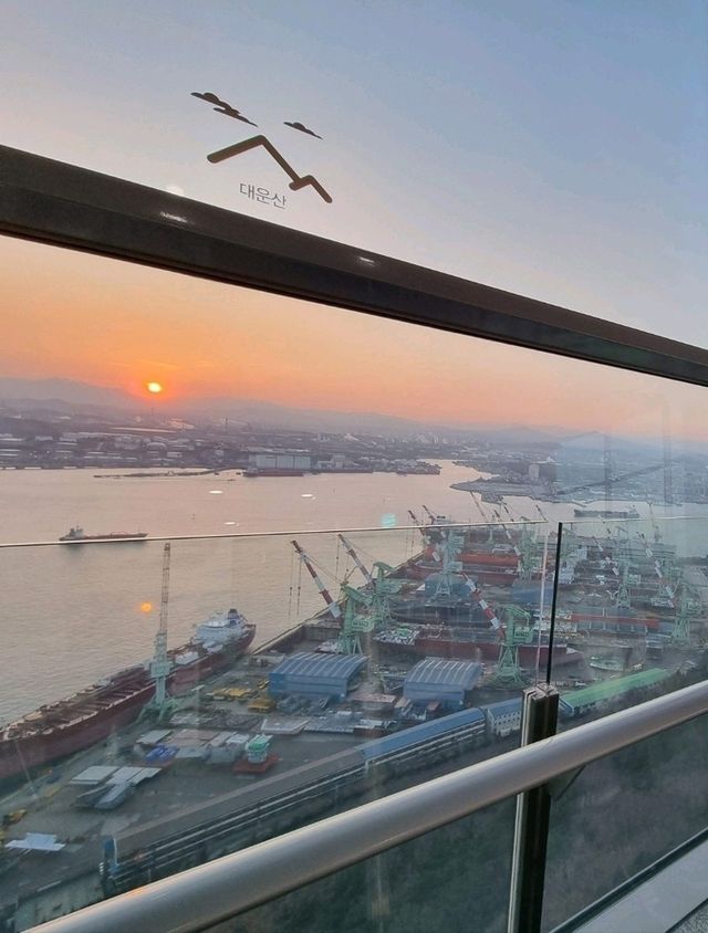 울산 하루 코스: 오전엔 숲, 오후엔 바다, 밤엔 관람차