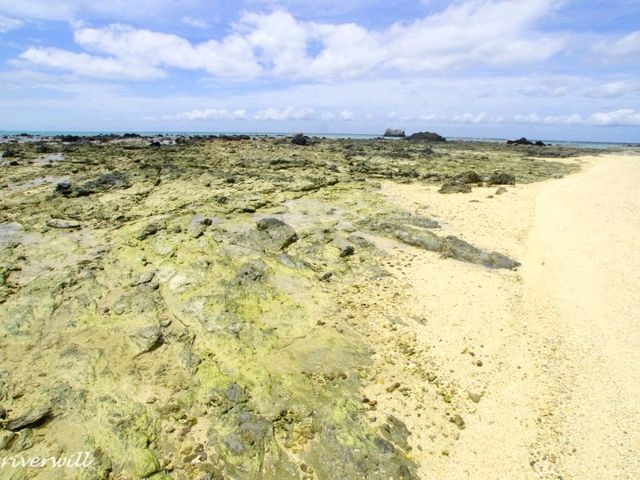 【沖縄八重山】「幻の島」と言われる「浜島」へ上陸！