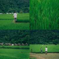 รีสอร์ทท่ามกลางทุ่งนาสีเขียว บรรยากาศดีสุดๆ 🍃🌾