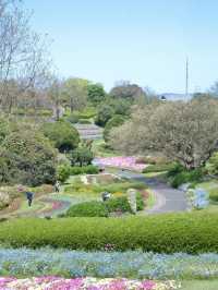【福岡】博多湾に浮かぶ花の楽園！春色の絶景ピクニック🌼🏝️💖