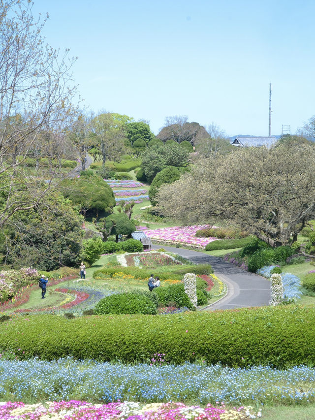 【福岡】博多湾に浮かぶ花の楽園！春色の絶景ピクニック🌼🏝️💖