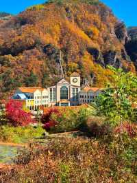 삼척가을단풍뷰관광지🍁하이원추추파크