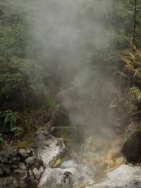 What to Expect in Heshun When It Rains: Food, Fog, and Friendly Hosts