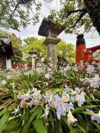 京都｜天狗守護的鞍馬山 三位一體尊天信仰造就鞍馬寺的獨特