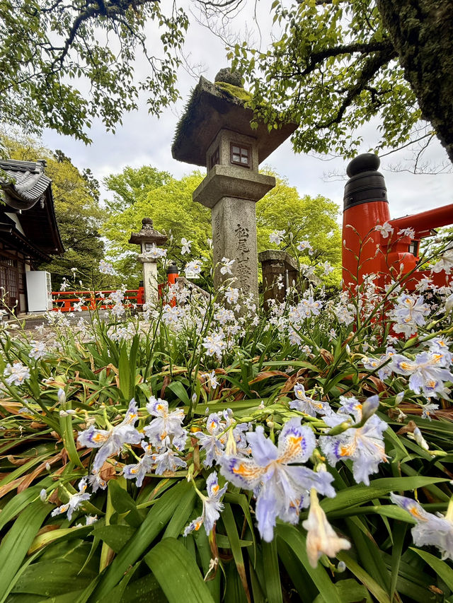 京都｜天狗守護的鞍馬山 三位一體尊天信仰造就鞍馬寺的獨特