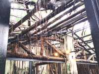 Anping Tree House