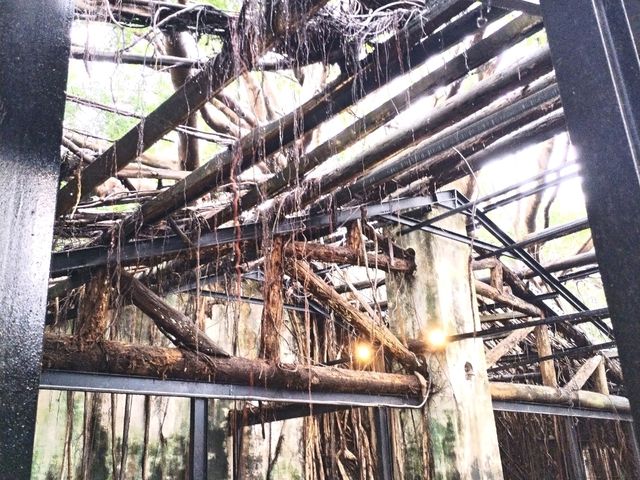 Anping Tree House