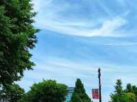 Ueno Park – Tokyo’s Green Gateway to Culture and History