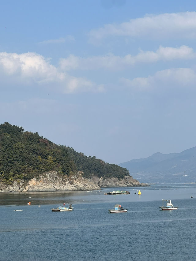 🏖️✨ 만성리해수욕장 (ชายหาดมันซองรี)