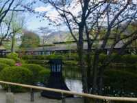 Serenity by the Spring: Strolling Through Oshino Hakkai