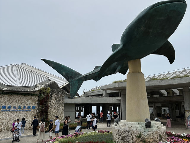 【美ら海水族館｜海の神秘に包まれる沖縄の人気スポット】 世界に誇る！ジンベエザメとマンタが泳ぐ大水槽に感動