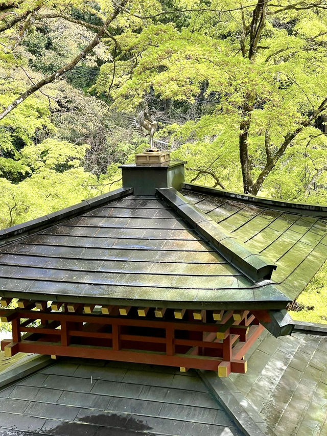 A Peaceful Day Exploring Oku-Saga, Kyoto 🌿