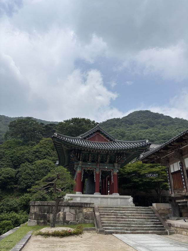 야경 감상이 가능한 전남 구례 화엄사🥲