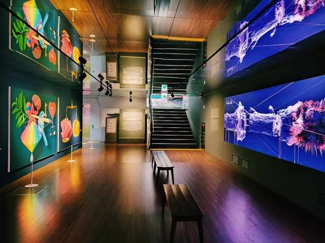 🎨【沉浸式藝術空間】釜山Museum WON：當光影與聲音共舞