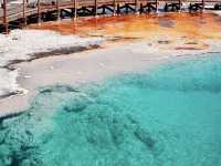 Yellowstone National Park – Earth’s Wild Heartbeat