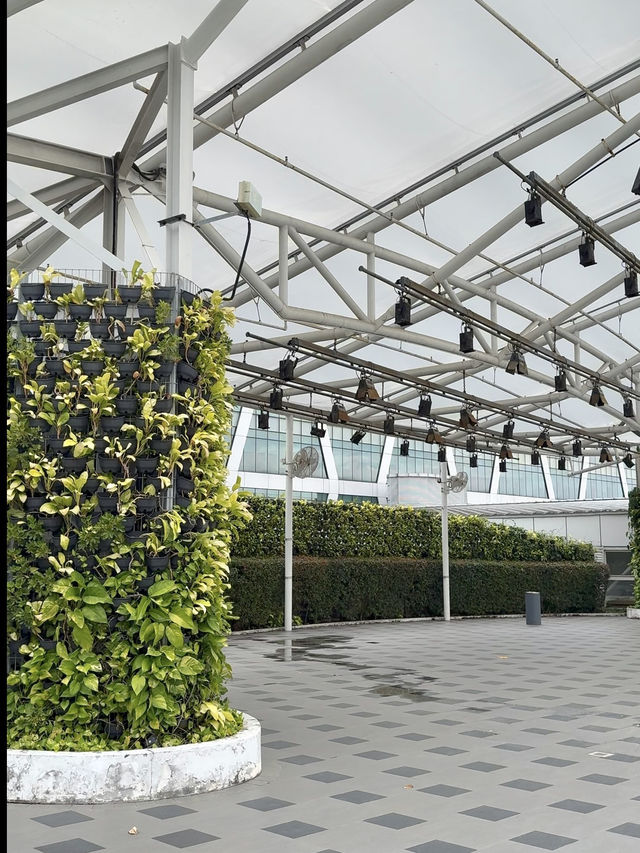 Take a Breather at This Garden Hideaway Above the Shops