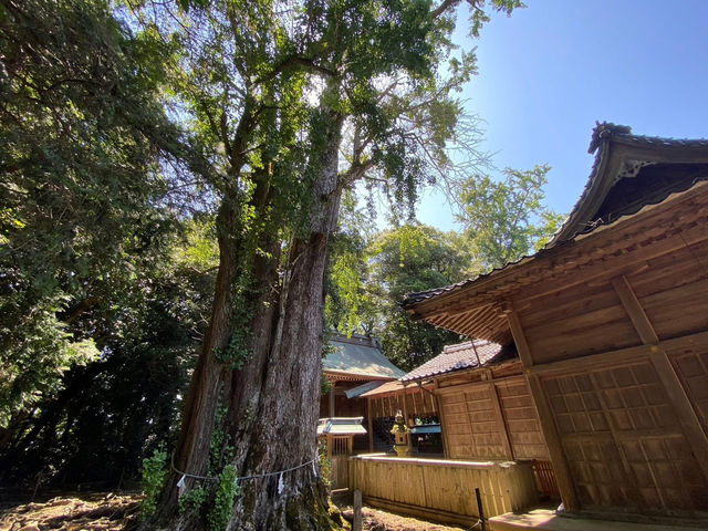 鳥取🇯🇵 歷史趣 ✨ 倉田八幡宮 ✨