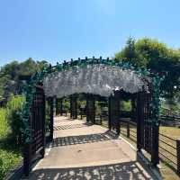 🇰🇷 Seoul Day Trip Idea | Pocheon Art Valley (포천아트밸리)