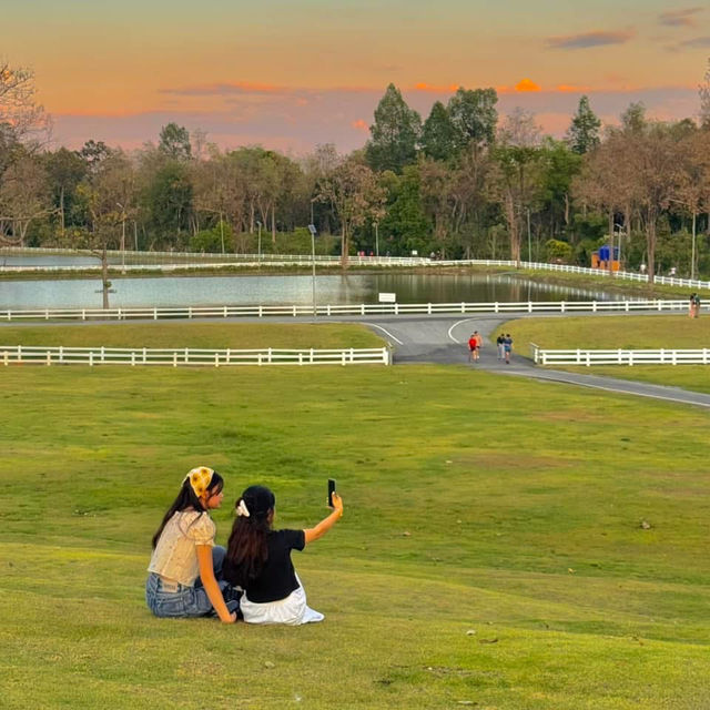 สถานที่ดูแสงเย็น ในเมืองเชียงใหม่ Vibesโคตรดี 🌳🧡