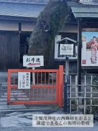 【京都】開運もカフェタイムも叶う、上賀茂神社の境内でいただく珈琲