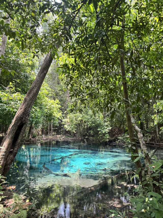 自然好き必見‼️東南アジアの絶景
