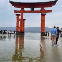 【広島/宮島🇯🇵】神秘的な風景に心揺れる⛩ 嚴島神社