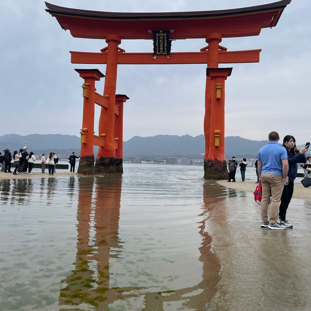 【広島/宮島🇯🇵】神秘的な風景に心揺れる⛩ 嚴島神社