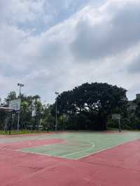 【桃園南昌森林運動公園｜小孩放電＋親子散步＋毛孩友善，一次滿足】
