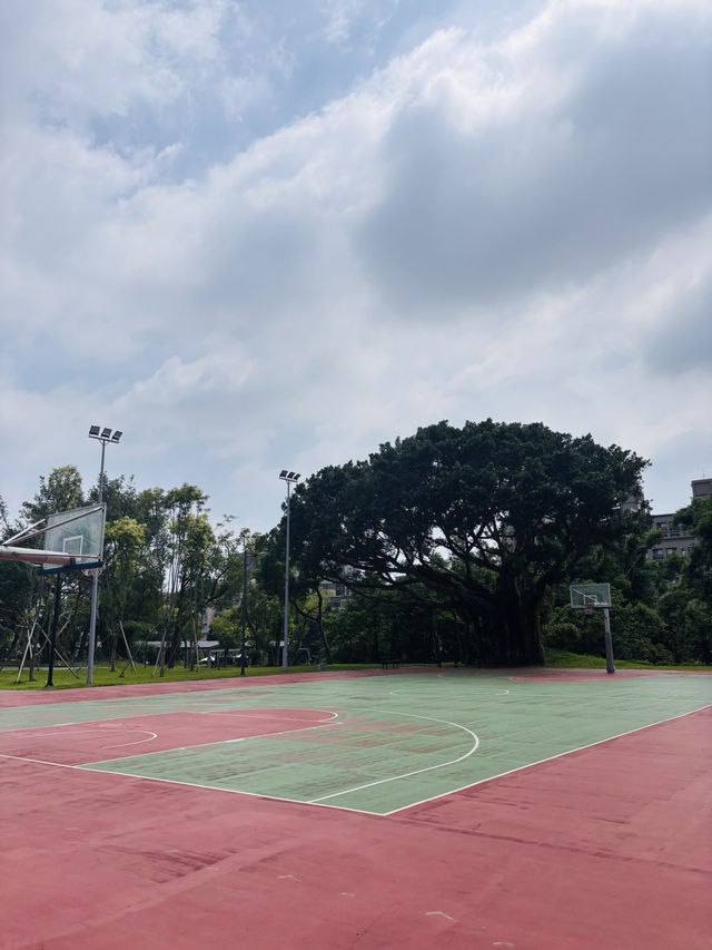【桃園南昌森林運動公園｜小孩放電＋親子散步＋毛孩友善，一次滿足】