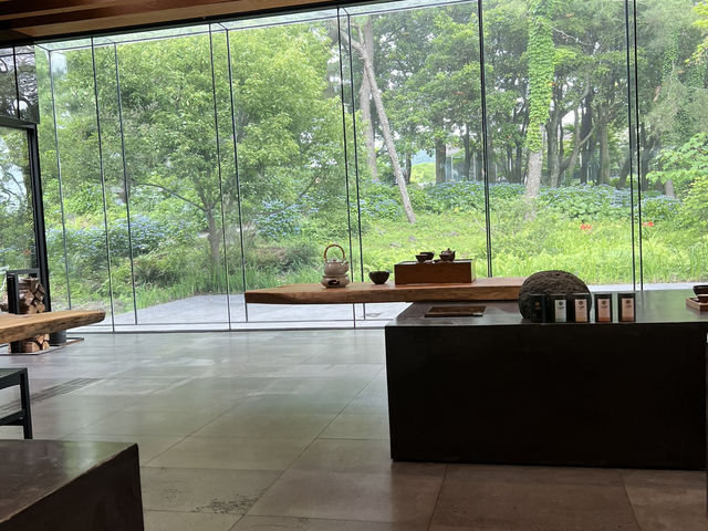 제주 2박 3일 코스