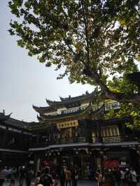 The Ultimate Yu Garden Day Experience: Shanghai's Historic Heart