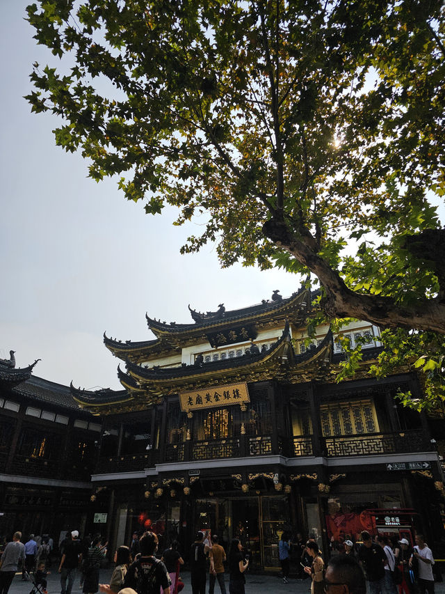 The Ultimate Yu Garden Day Experience: Shanghai's Historic Heart