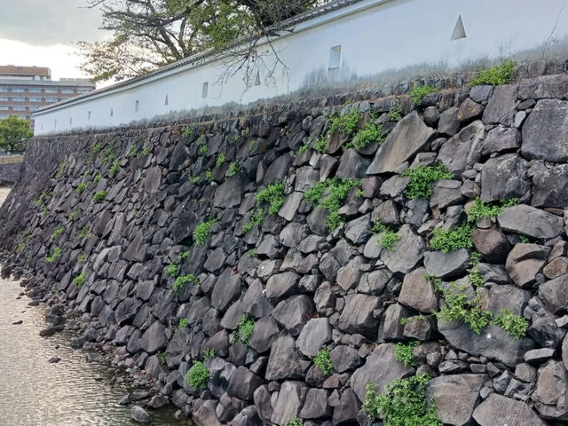 🏯歴史と絶景の融合！甲府城（舞鶴城公園）で戦国ロマンに浸る旅🌸