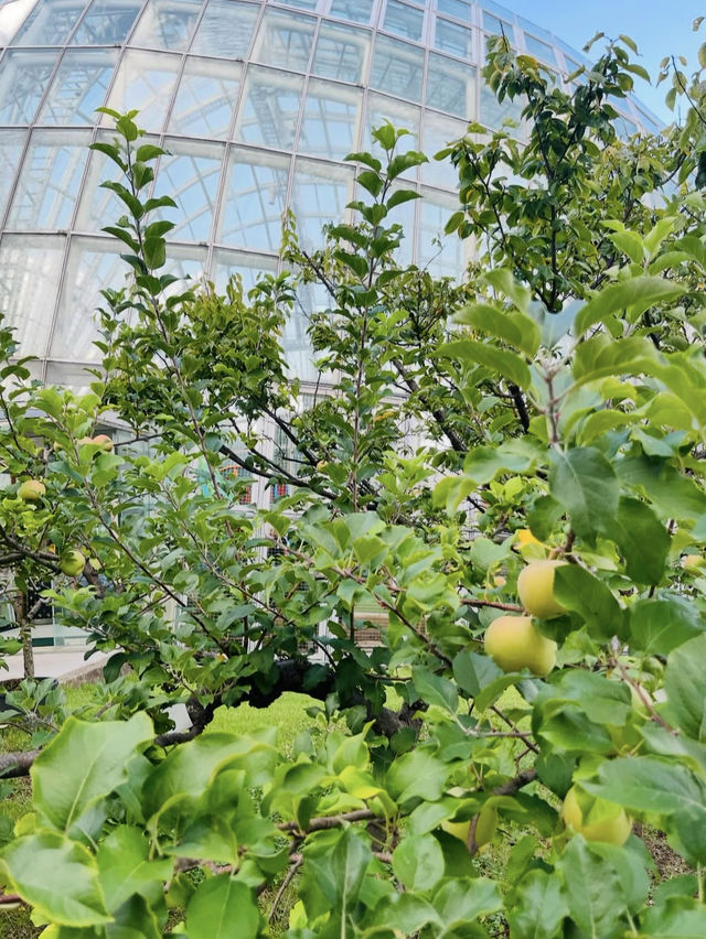 🦁自然と遊びが融合！愛宕山こどもの国で心も体もリフレッシュ🌿