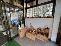🍎 Apple Wonderland in Hirosaki – A Family Delight!