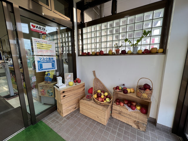 🍎 Apple Wonderland in Hirosaki – A Family Delight!