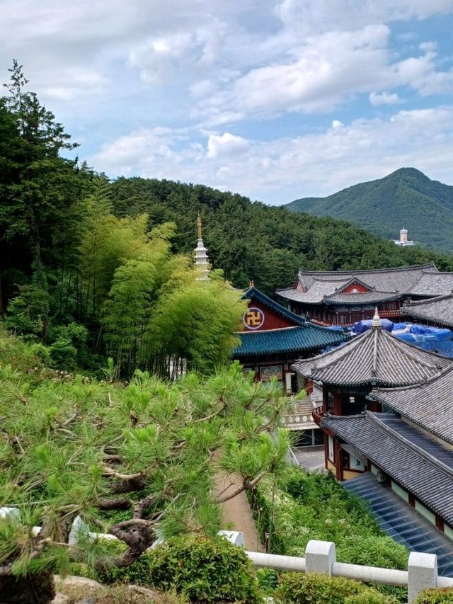 삼광사에서의 마음 정리 여행