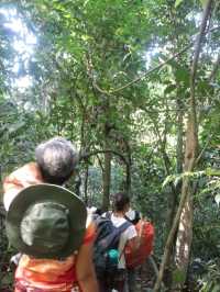 อุทยานแห่งชาติคลองพนม จ. สุราษฎร์ธานี 