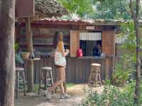 ☕ Good Drink Good Cups - คาเฟ่ช้าง แม่แตง