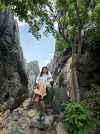 Explore the Otherworldly Beauty of Stone Forest – Yunnan’s Natural Wonder