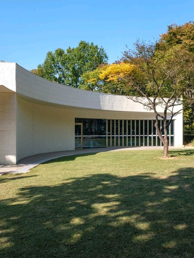 yangcheon park bookshelf